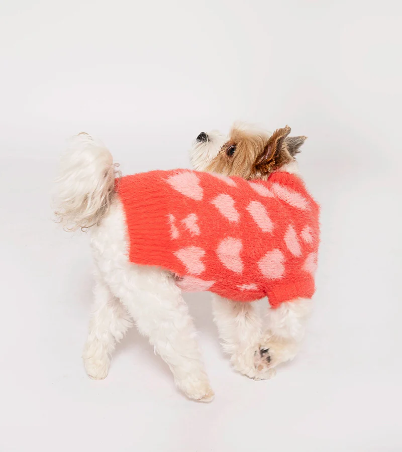 Pull coeurs pour animaux - Image 6