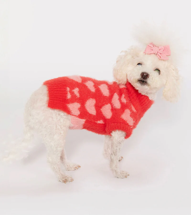 Pull coeurs pour animaux - Image 7