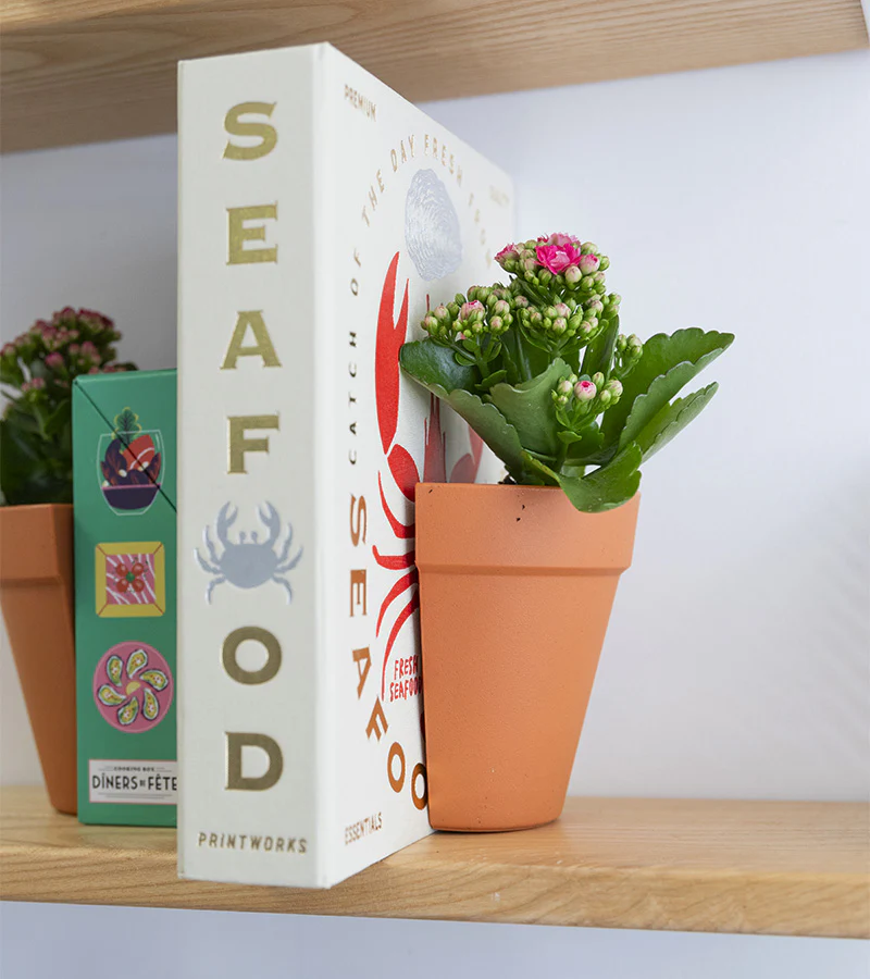 Serre-livres 2 en 1 / Pot à plantes - Image 2