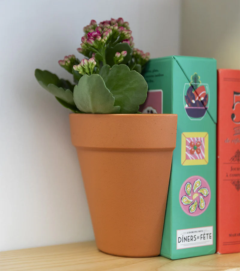 Serre-livres 2 en 1 / Pot à plantes - Image 3
