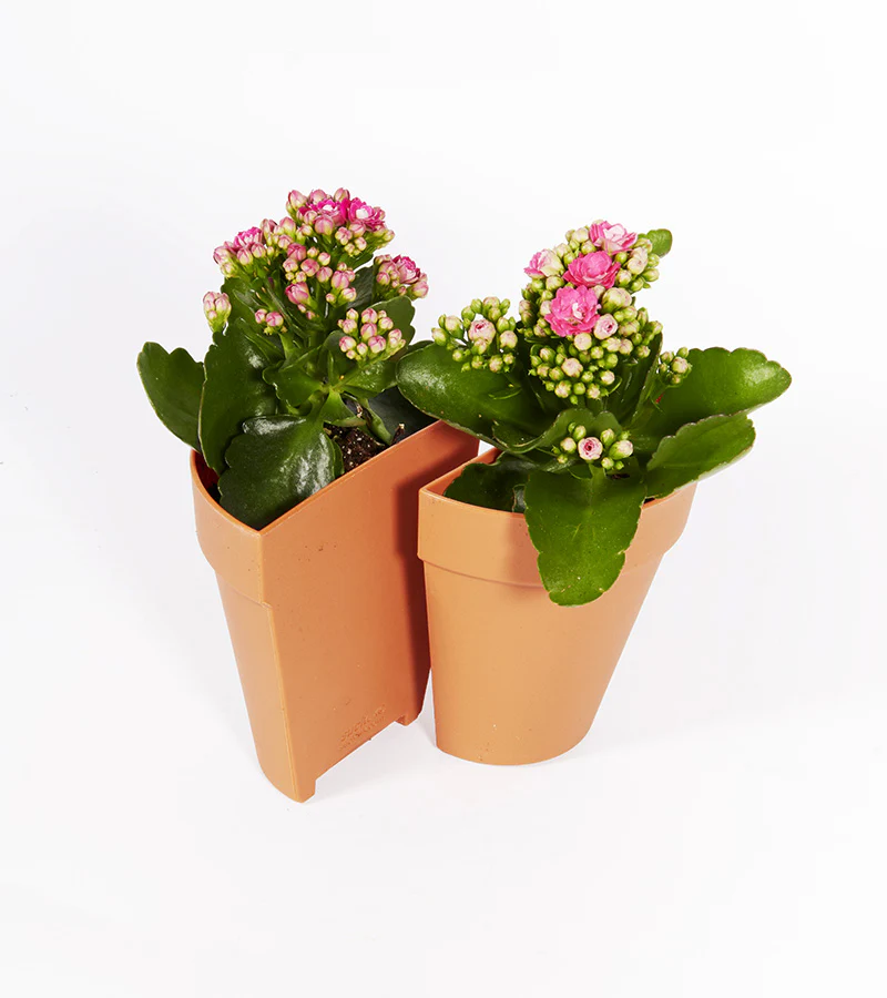 Serre-livres 2 en 1 / Pot à plantes - Image 5