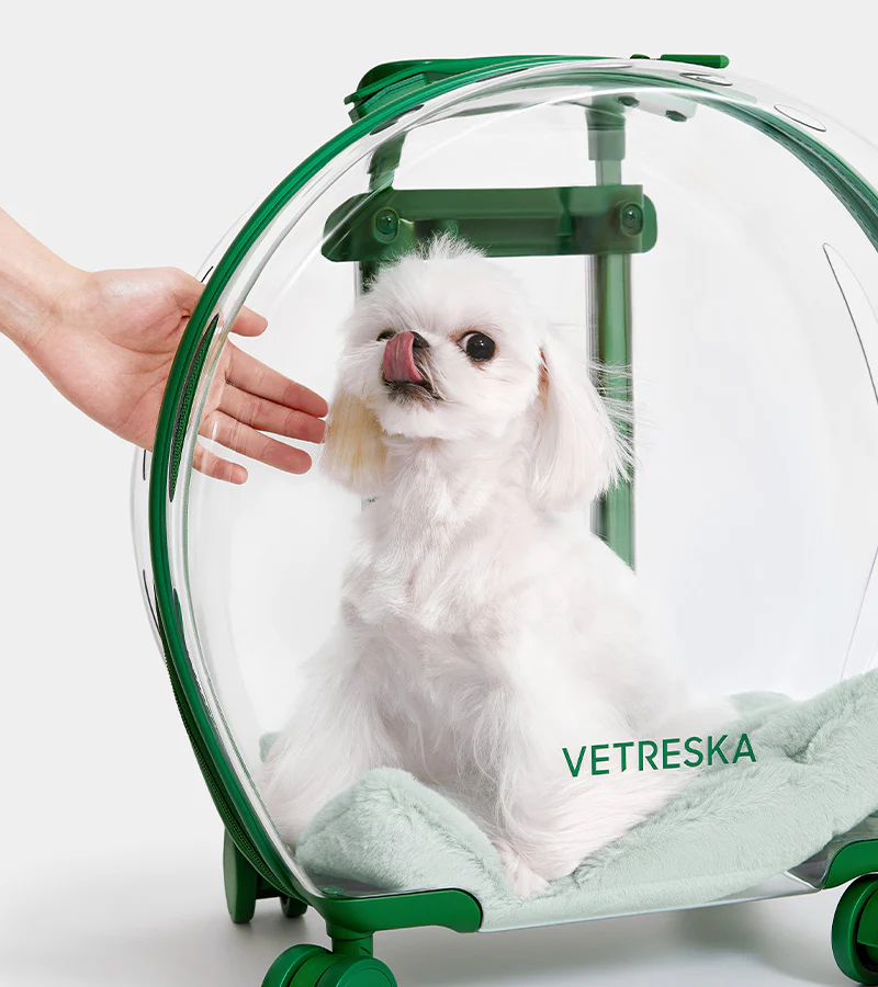 Valise Bubble pour animaux - Vert - Image 2