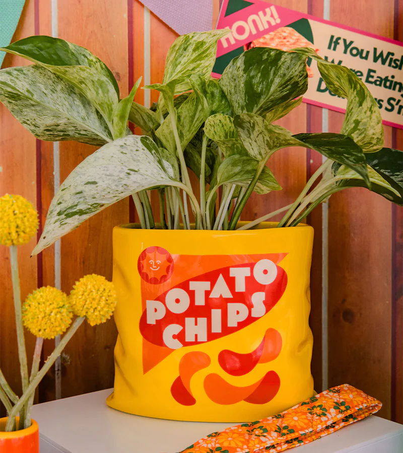 Vase pack de chips - Image 2